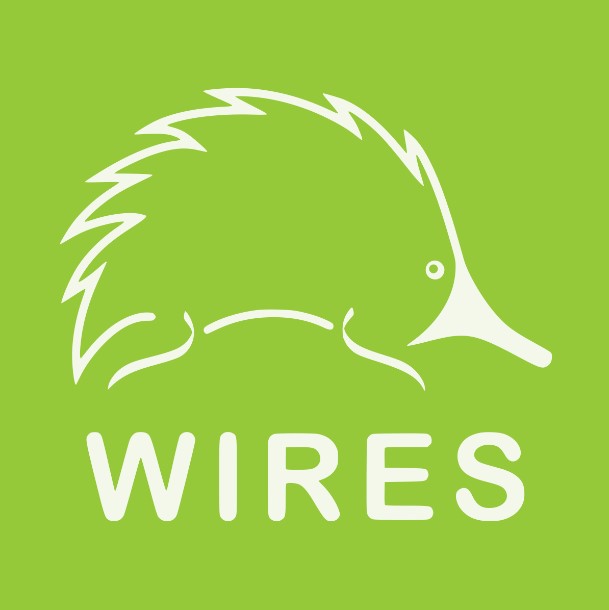 Wires_Logo.jpg