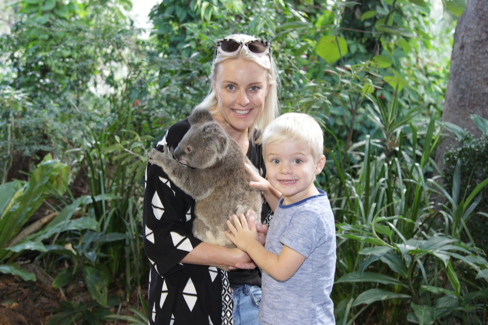 koala-cuddle-australia.jpeg