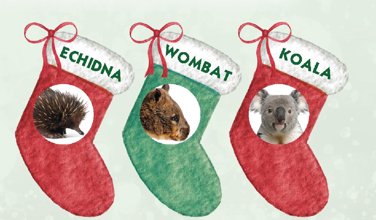 ACWS_adopt_an_animal_for_Christmas.jpg