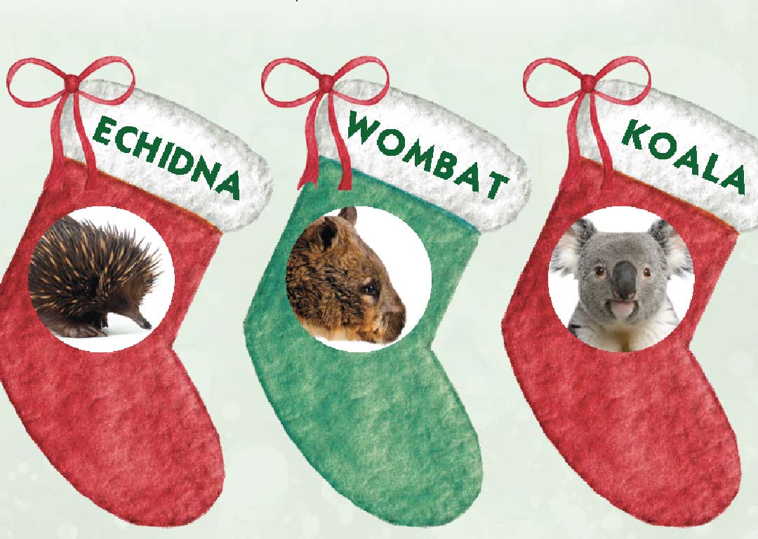 CWS_adopt_an_animal_for_Christmas.jpg