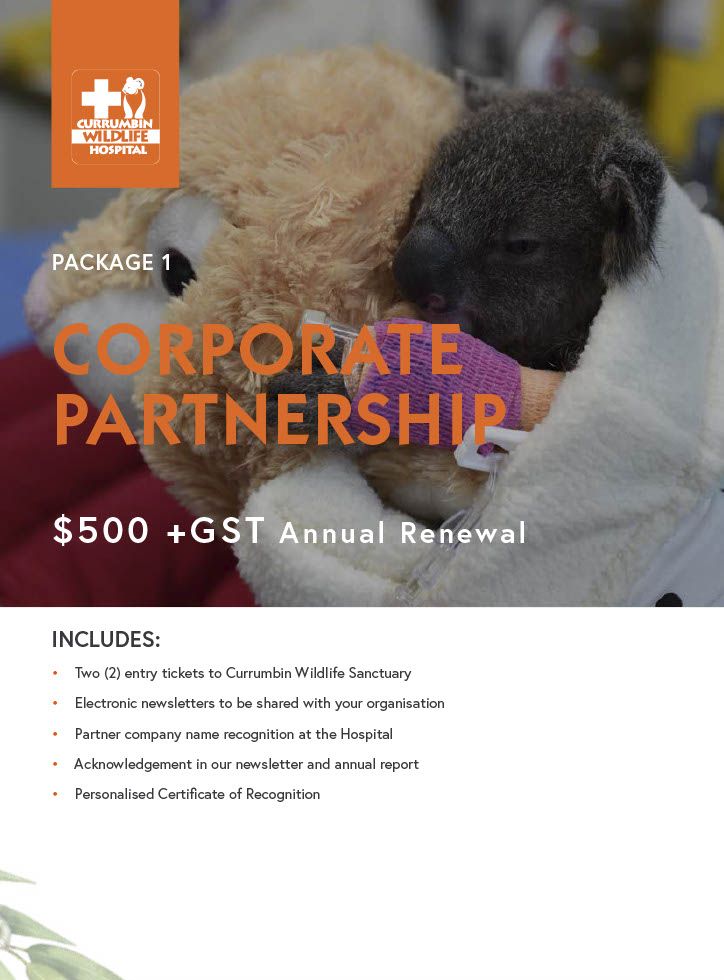 CWH Corporate Partnership Kit $500