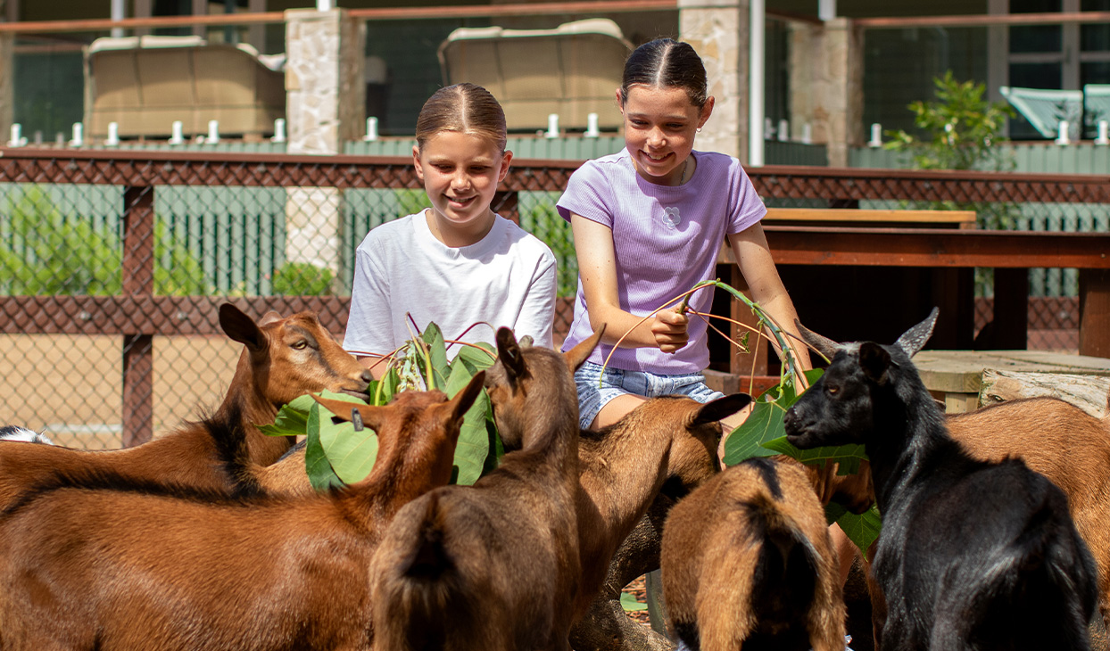 GOAT_ENCOUNTER_1244x730_1.jpg