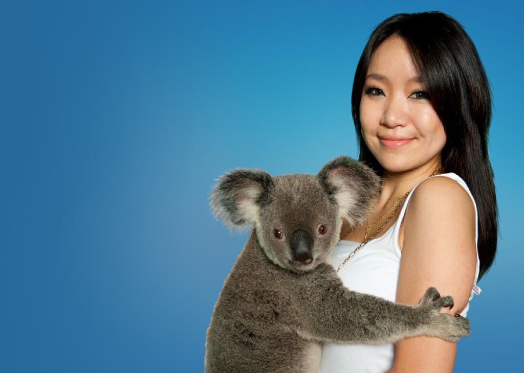 Koala Experience