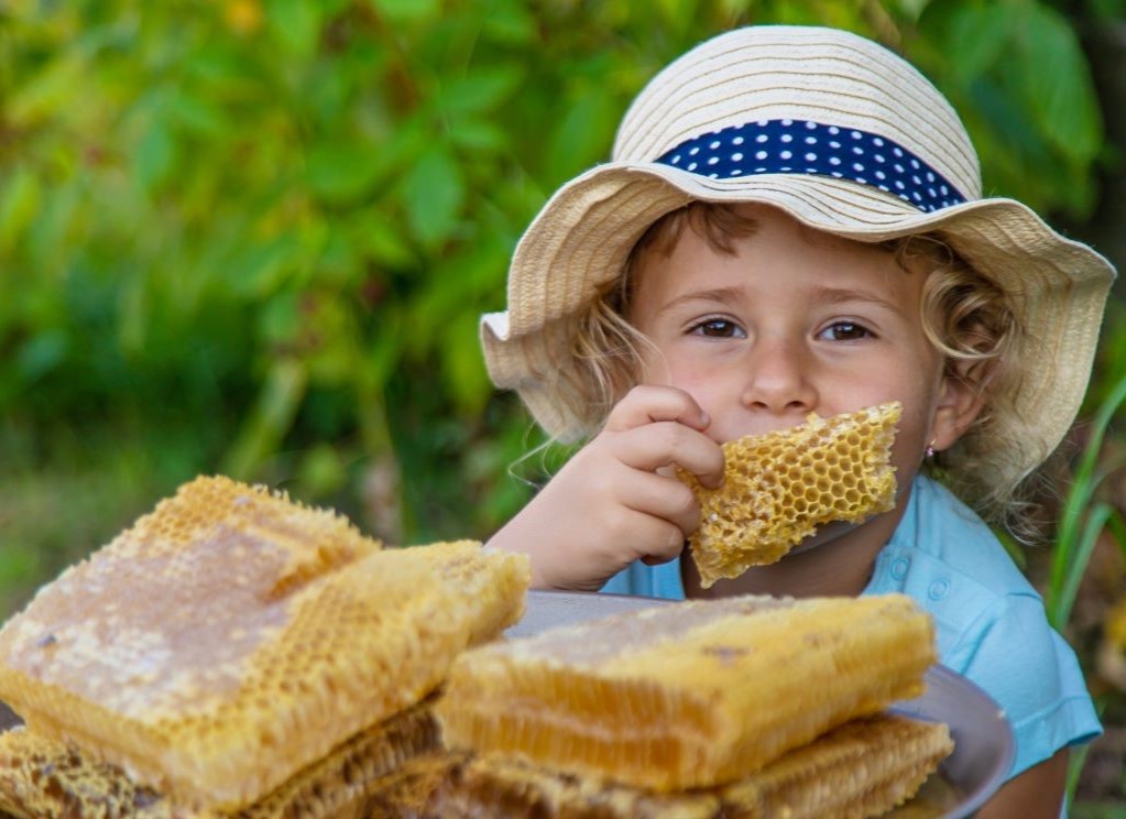 Young_girl_eating_honeycomb_Mobile.JPG