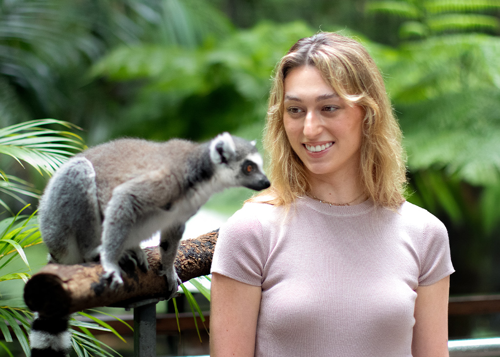 LEMUR_ENCOUNTER_2_1024x730.jpg