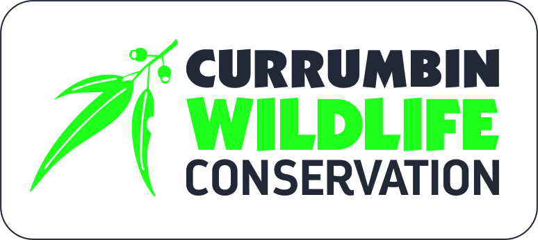 RECTANGLE CURRUMBIN WILDLIFE CONSERVATION LOGO - FULL COLOUR.jpg