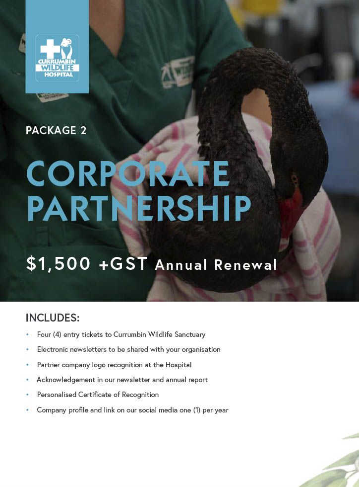 CWH Corporate Partnership Kit $1500.pdf