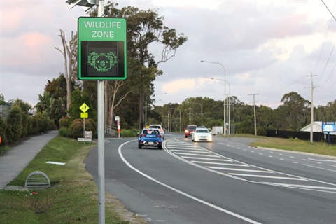 koala sign image.jpg