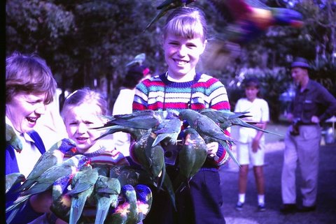 currumbin-sanctuary-turns-70.JPG