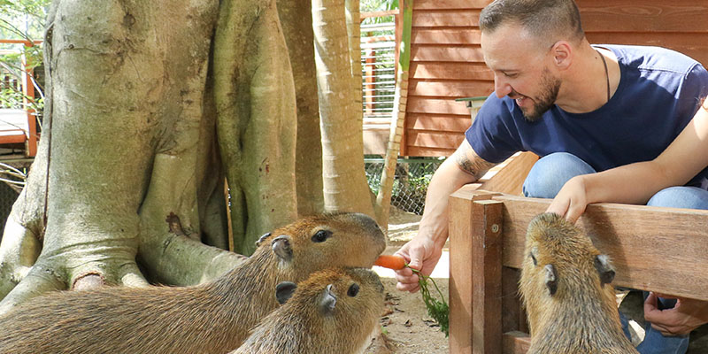 Christmas Blog Capybara Encounter.jpg