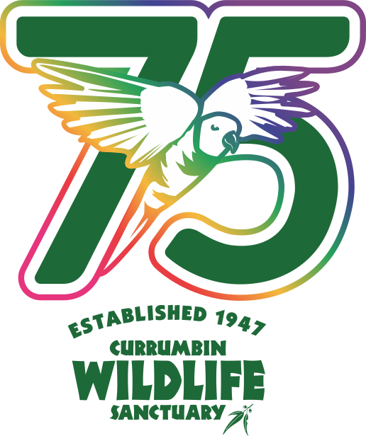 CWS 75TH PRIMARY LOGO - FULL COLOUR.png