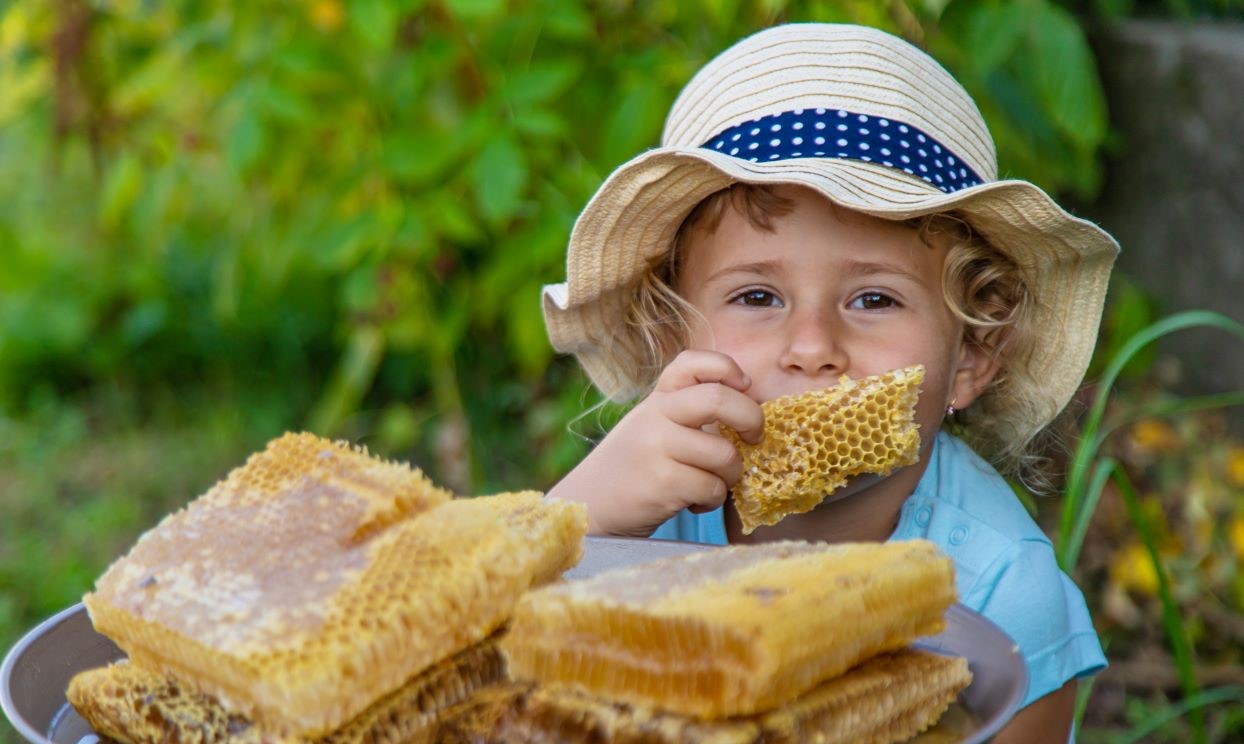 Young_girl_eating_honeycomb_Desktop.JPG