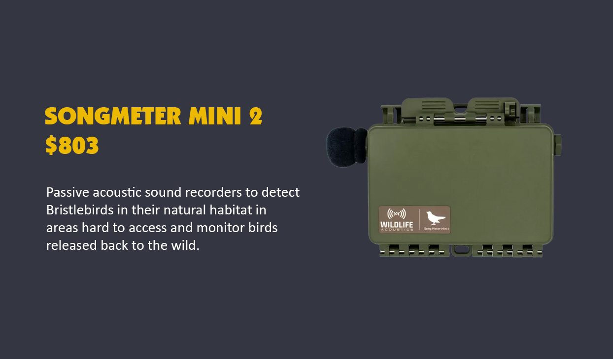 BB_Wishlist_Items_-_Songmeter_Mini_G.jpg