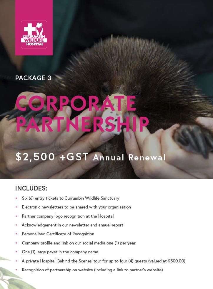 CWH Corporate Partnership Kit $2500.pdf