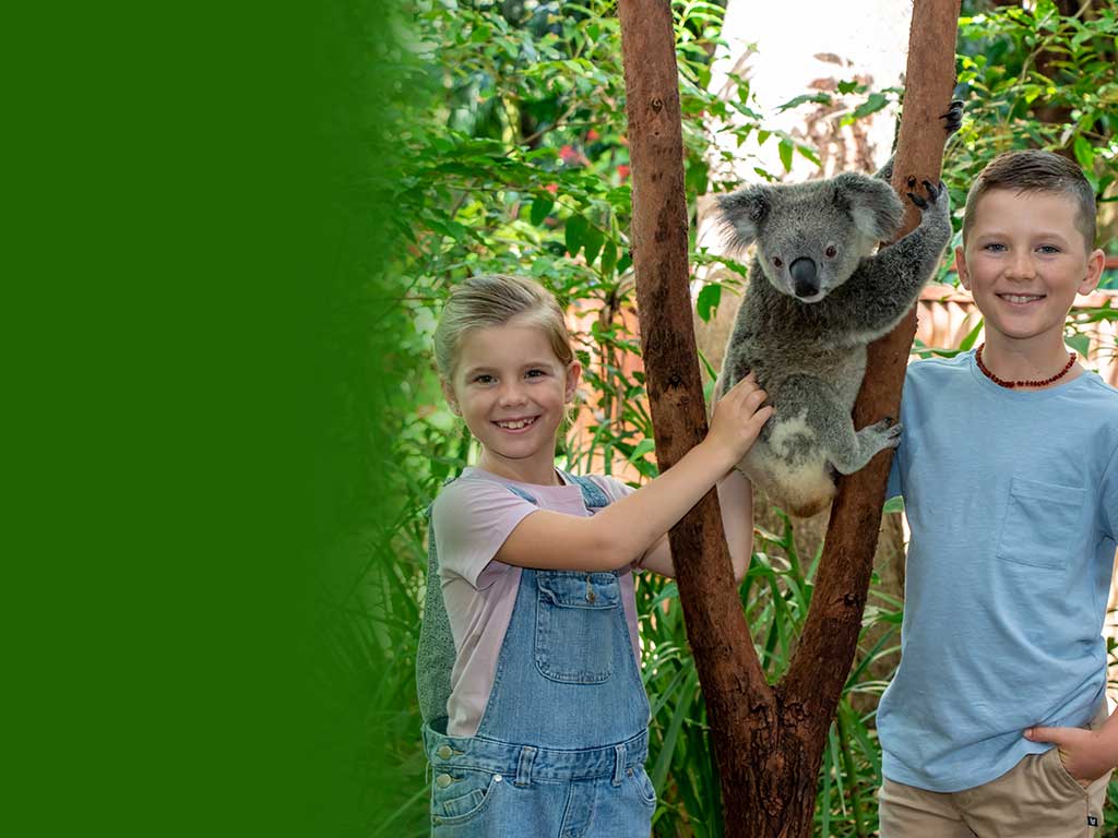 koala-photo-encounter-page2.jpg