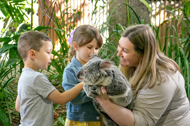 Koala with Children doing Koala Photo.jpg