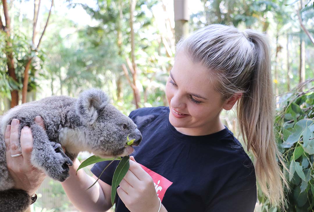 Koala Nursery Experience.jpg