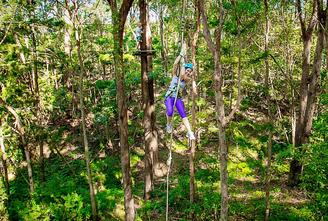 Treetop challenge Mobile 1080x730.jpg