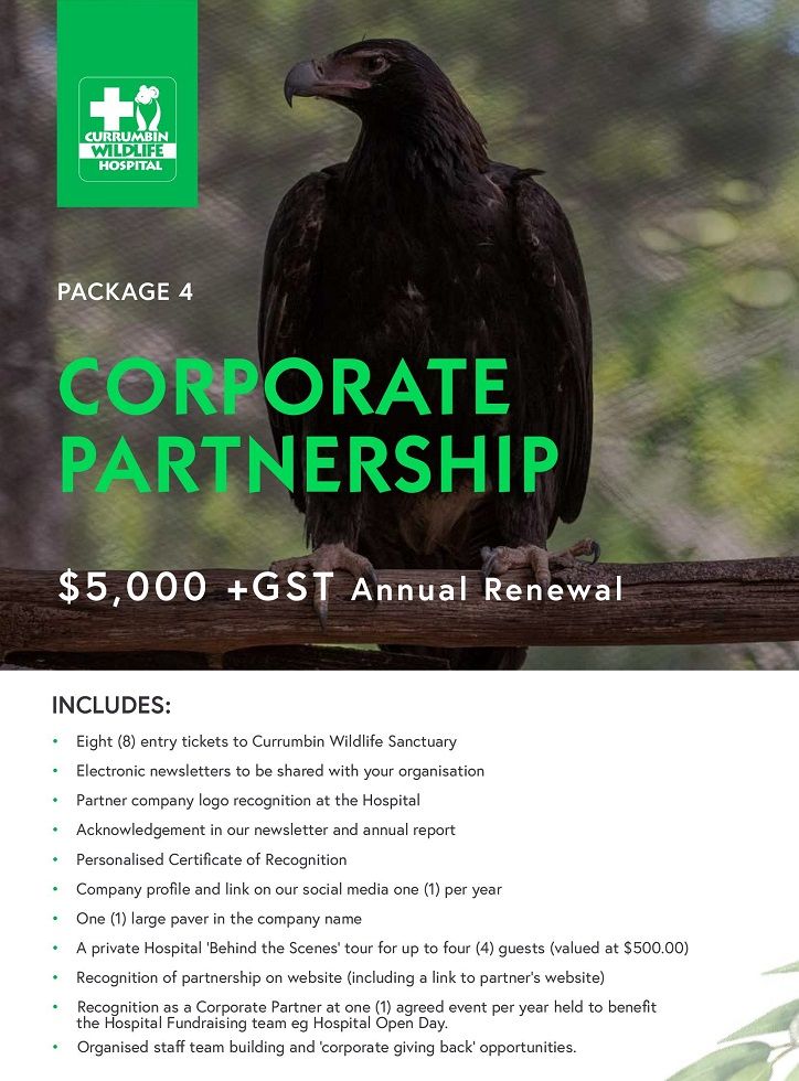 CWH Corporate Partnership Kit $5000.pdf