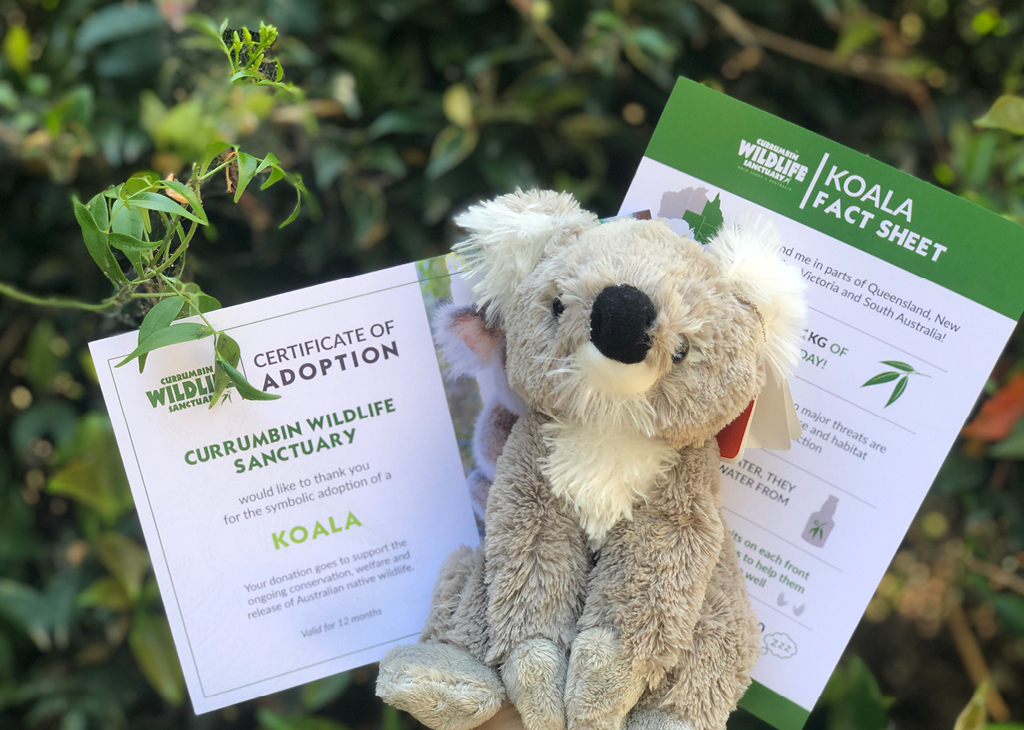 Snapshot of Adopt an Animal Certificate