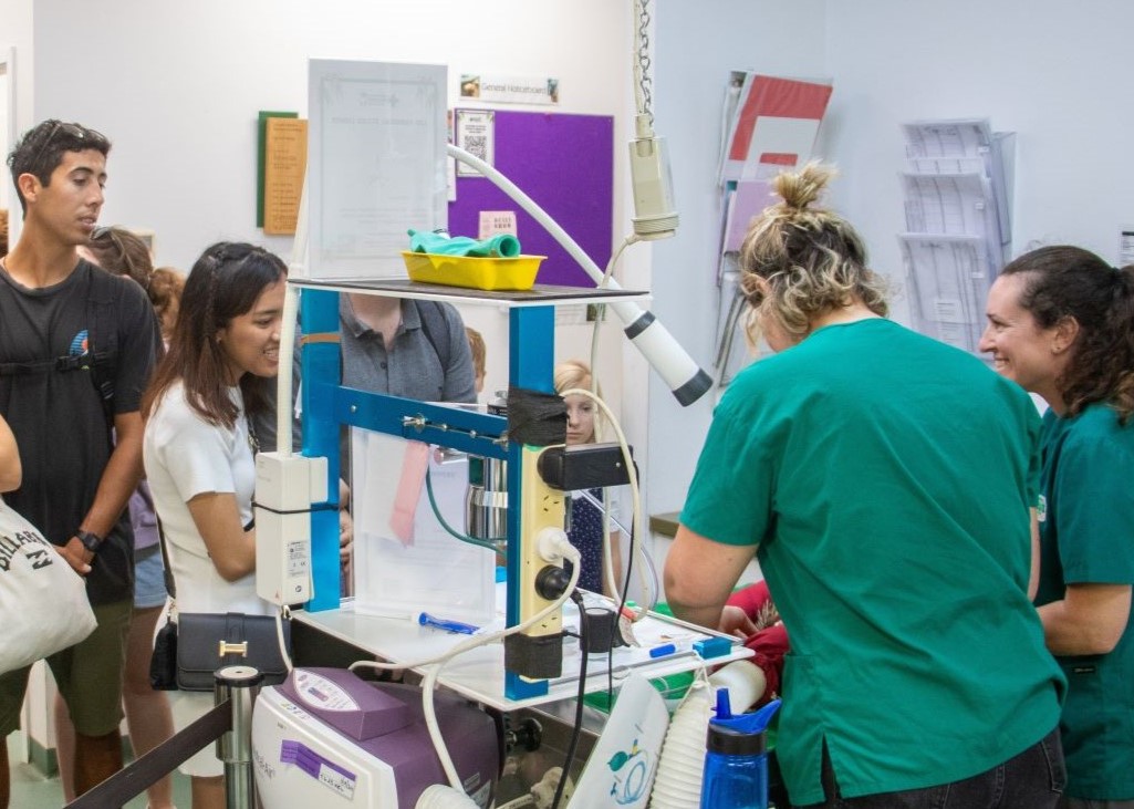 Students inside the busy Currumbin Wildlife Hospital watching the vet team live in action