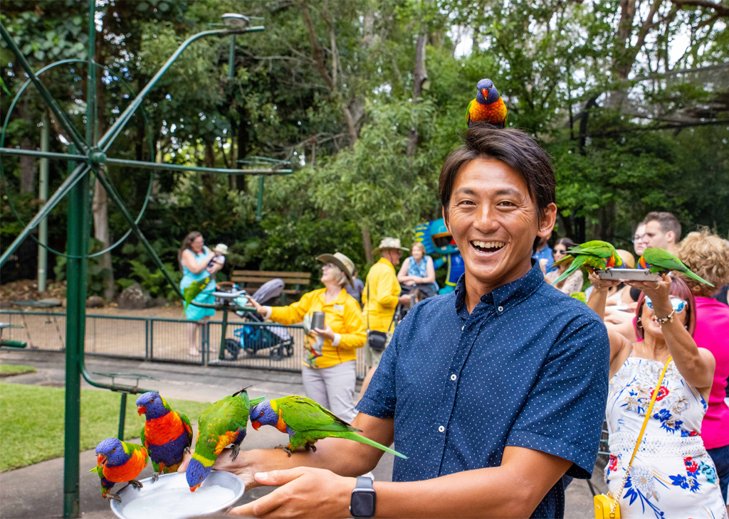 Happy man at Rainbow Lorikeet feeding at Currumbin Wildlife Sanctuary with birds on his head and arm