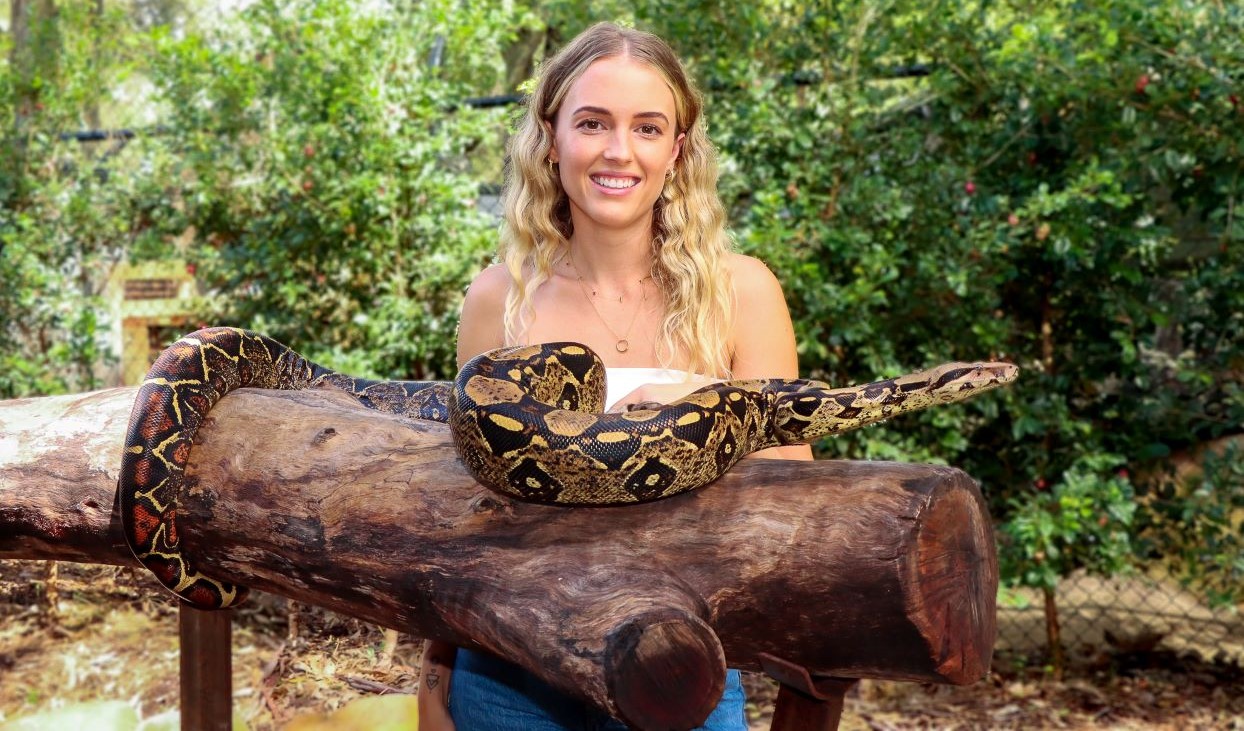 Woman smiling standing closely to a very large snake