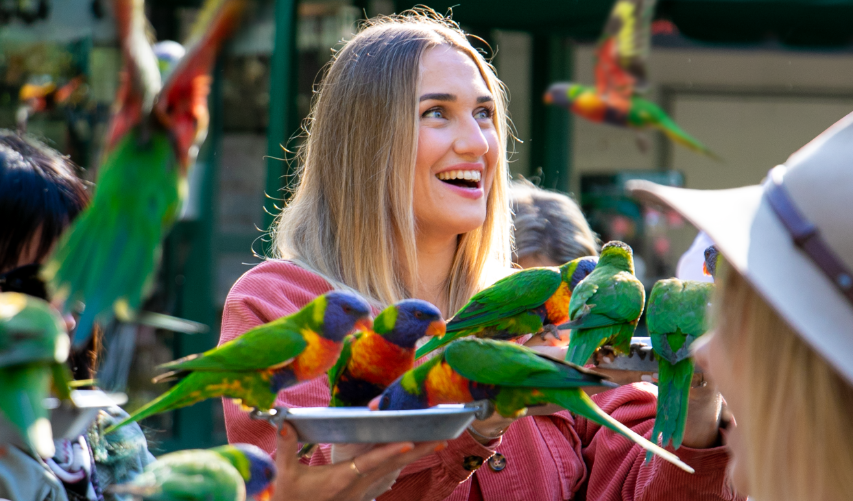 Smiling woman surrounded by rainbow lorikeets holding up feeding platters