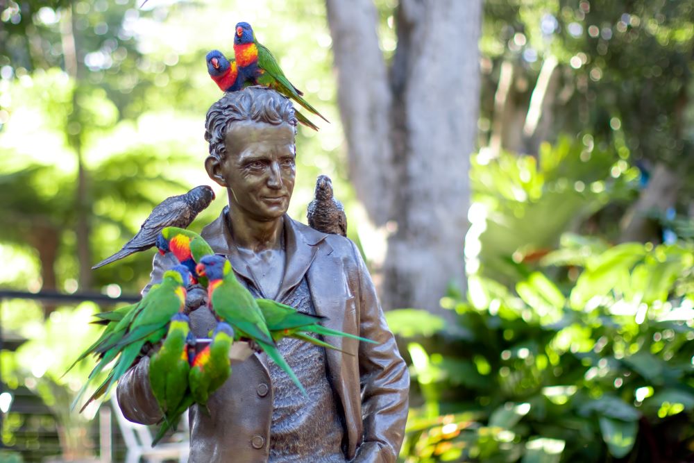 Group of Rainbow Lorrikeets sitting on Alex Griffith statue at Currumbin Wildlife Sanctuary