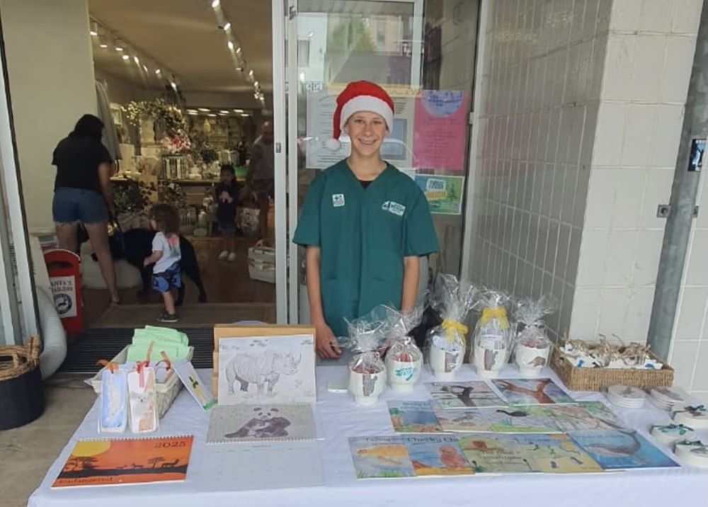 Toby Mitchell Christmas stall raising funds for Currumbin Wildlife Hospital