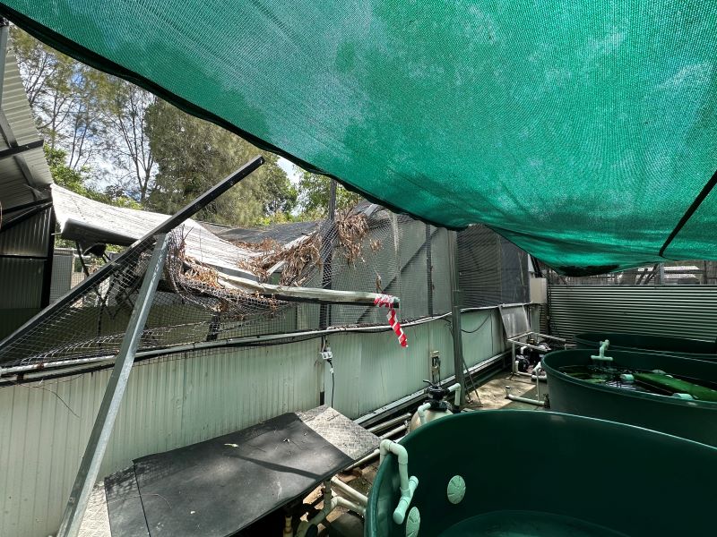 Storm damage to Currumbin Wildlife Hospital, February 2025