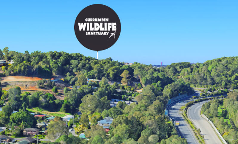 A scenic view of the wildlife center nestled in the hills, surrounded by lush greenery and natural beauty