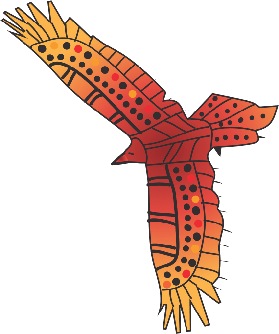 A vibrant red and orange bird