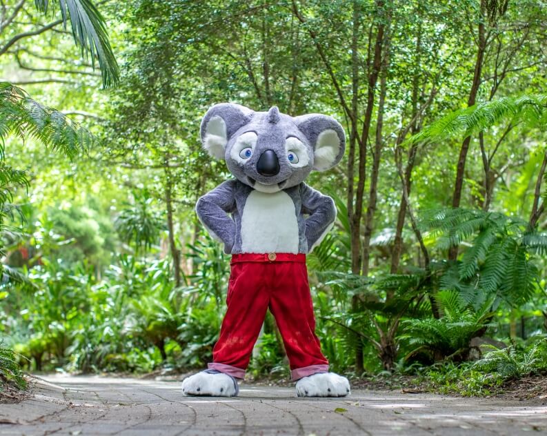 A person in a koala mascot costume with red pants stands on a path in a lush, green outdoor setting.