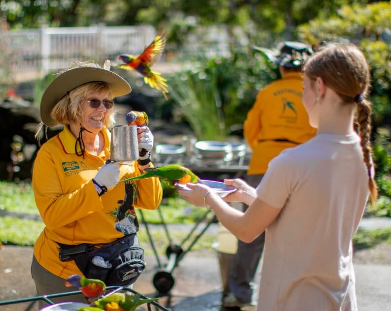 A woman in a yellow shirt and hat feeds lorikeets from a metal cup while another woman holds a plate with birds. Two more people are in the background.