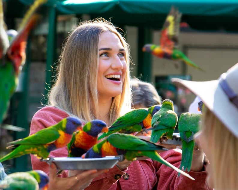 A smiling woman holds trays filled with colorful parrots, with more birds flying and sitting nearby in an outdoor setting.