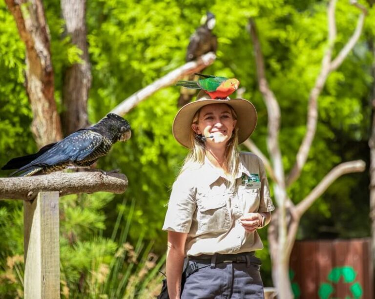 A woman in a khaki uniform stands outdoors, smiling, with a parrot on her hat and another bird perched nearby on a wooden post. Lush green trees are in the background.