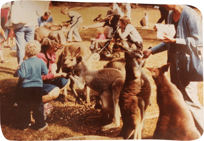 A group of people, including children and adults, are in a park interacting with kangaroos and other animals.