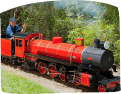 A man operates a red train on a railway track