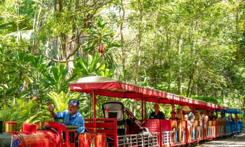 A small train carrying passengers travels through a park, surrounded by vibrant greenery and tropical plants