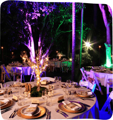 A beautifully arranged dinner table with elegant tableware, candles, and floral centerpieces, ready for a festive gathering