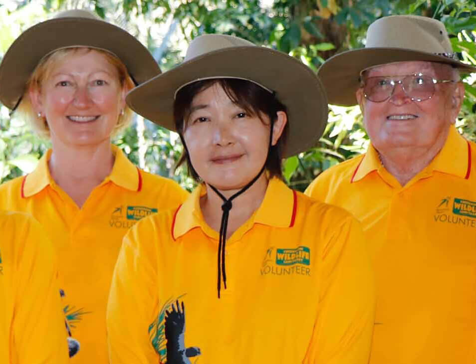 Currumbin Wildlife Sanctuary Volunteers wears yellow shirts and hats