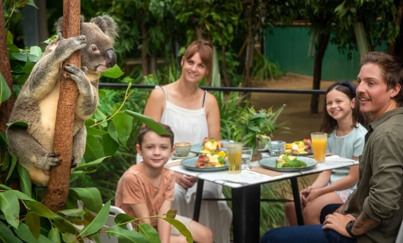 A koala clings to a tree next to a table where two adults and two children sit outdoors, eating breakfast and smiling.