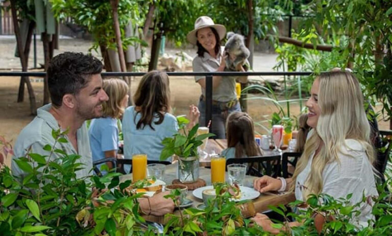 Family enjoying breakfast at an outdoor zoo enclosure with a koala.