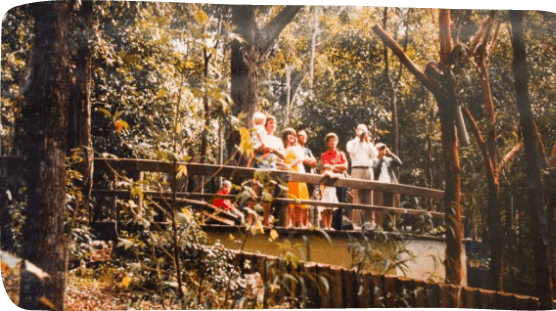 A group of friends on a bridge in a wooded area, immersed in nature and sharing a moment of connection and joy