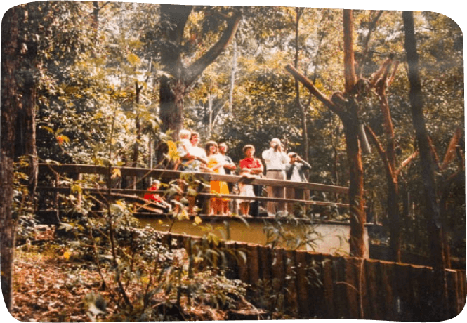 A group of friends on a bridge in a wooded area, immersed in nature and sharing a moment of connection and joy