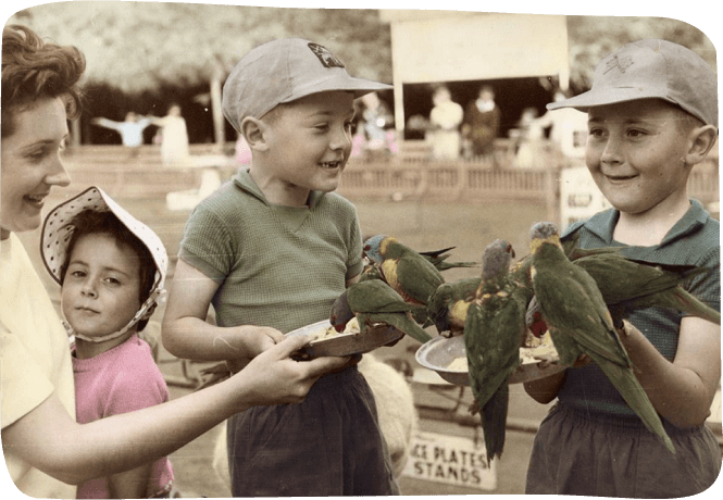 Two young boys feeding to parrots