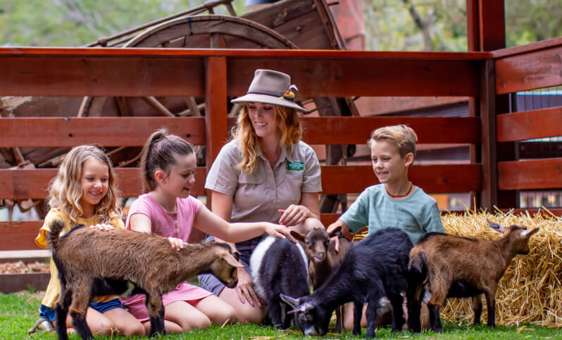 Children interact with goats and a farm worker at a petting zoo.