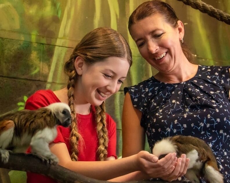 A woman and a girl smile while feeding and interacting with two small monkeys in a zoo or animal enclosure.