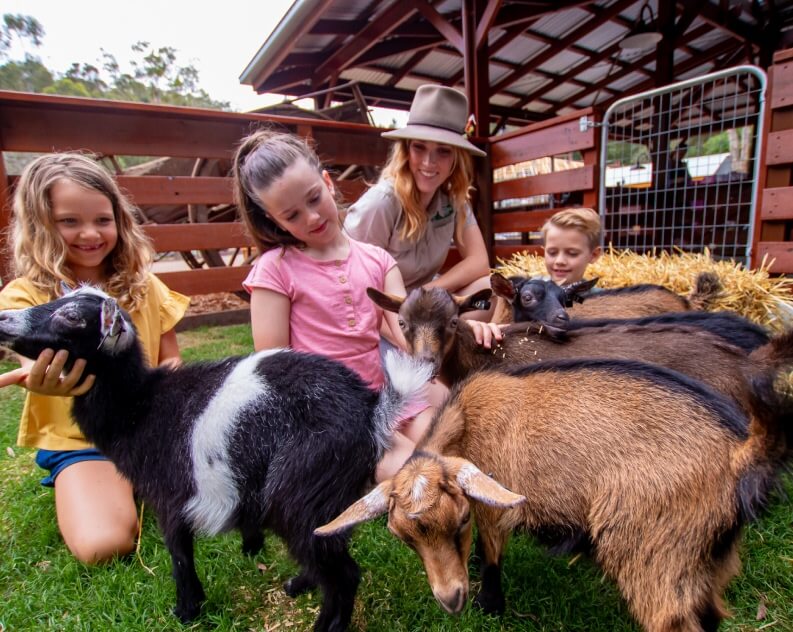 Three children and an adult interact with several goats on grass near a wooden barn. The children are petting and feeding the goats.